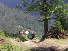 �������� ���������