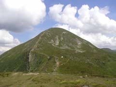 ������ �� ���� �������