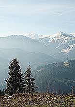 ϳ��� ��������� ��������� �������� ϳ�-������ �� ���������