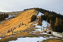 ���������� ����� ��������� ���� ��������