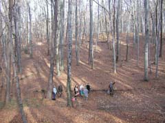 ��� �����  ����� ���� ������ � �� ��� ��������