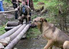 ��� ������  � ���� ��� ��������� �� ������� ������