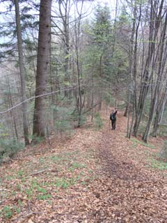 ����� ��������