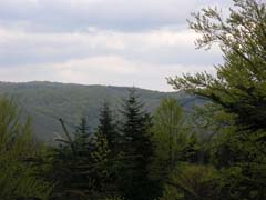 � ������� ������, �� ���� � ���� �������