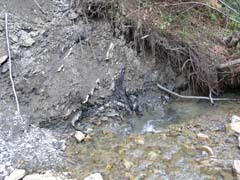 ��� ������� ���  �������  ��� ���������