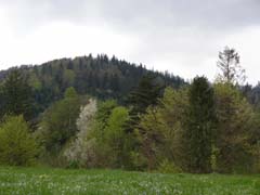 ���� ��������� ������ 