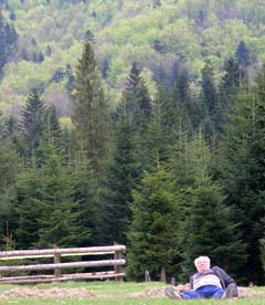 ����� �������� ������ ������ ����������. � ������� �� ����� ���� �������