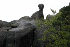 ���� �������