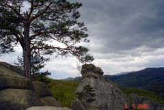 �� ������-��������  ���������� �������� � ���������