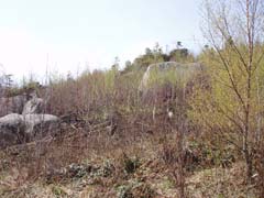 ����� ����� � ������ ���������� �����