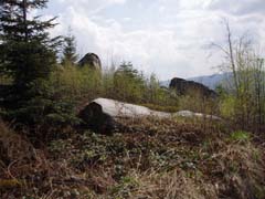 ���������� ����� ������ �� �����