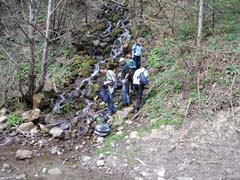 ������ ������ � �� - ��������� ������� ������