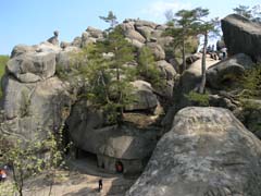 ���� �������