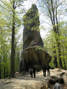 ���������� ����