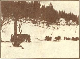 ������ ���. �. ������� � �������.