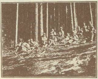 �� ������