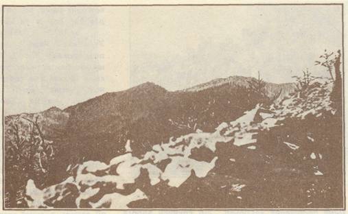 ������.  ͳ ����� ��� ��������� ���������, �� ������� �������.