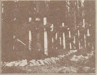 �������� ������ �� ������. ��� ��������� ���� � 1915 �.