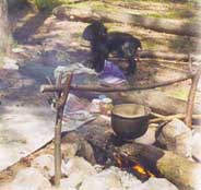 ������ � ����� - ���������� � ������� �������.  http://www.karpaty.net.ua