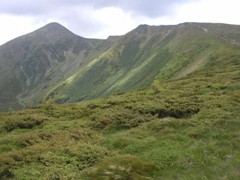 ��� ��� ������� ������� ������� �� 1�� 