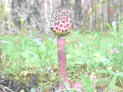 �����������   �����