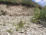 ����� �� ���� �������������� ����������� ��� ����-������������