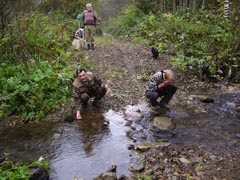 �� ������� ���� ����������� ����� ����