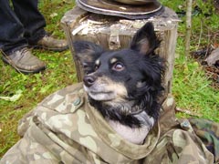 ��� ������� ���� - ������� ����