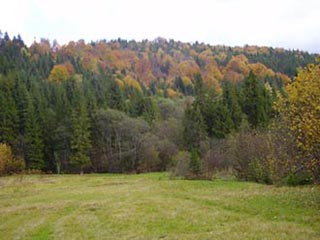 ������ ������� ����