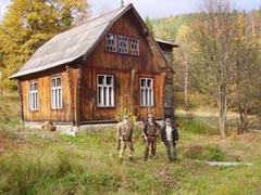 ����� ����� ������������ ��������