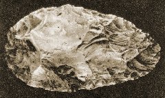 ���� ��� ���� ��������