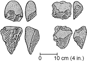 &Ccedil;&iacute;&agrave;&eth;&yuml;&auml;&auml;&yuml; &iuml;&eth;&agrave;&ouml;&sup3; 
