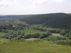 ������� ������� ������� � �������� �� ������������