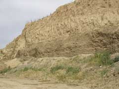 ���� ������������� ����� ��� ����������������