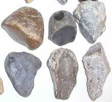 ��� �������� 2007 - 2010 ���� �� ������� ������