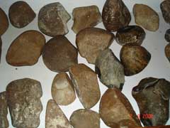 ���� - ������������ - �������� �����