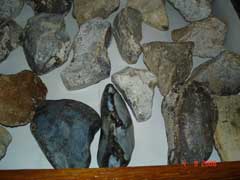 ���� - ������������ - ��������  ������